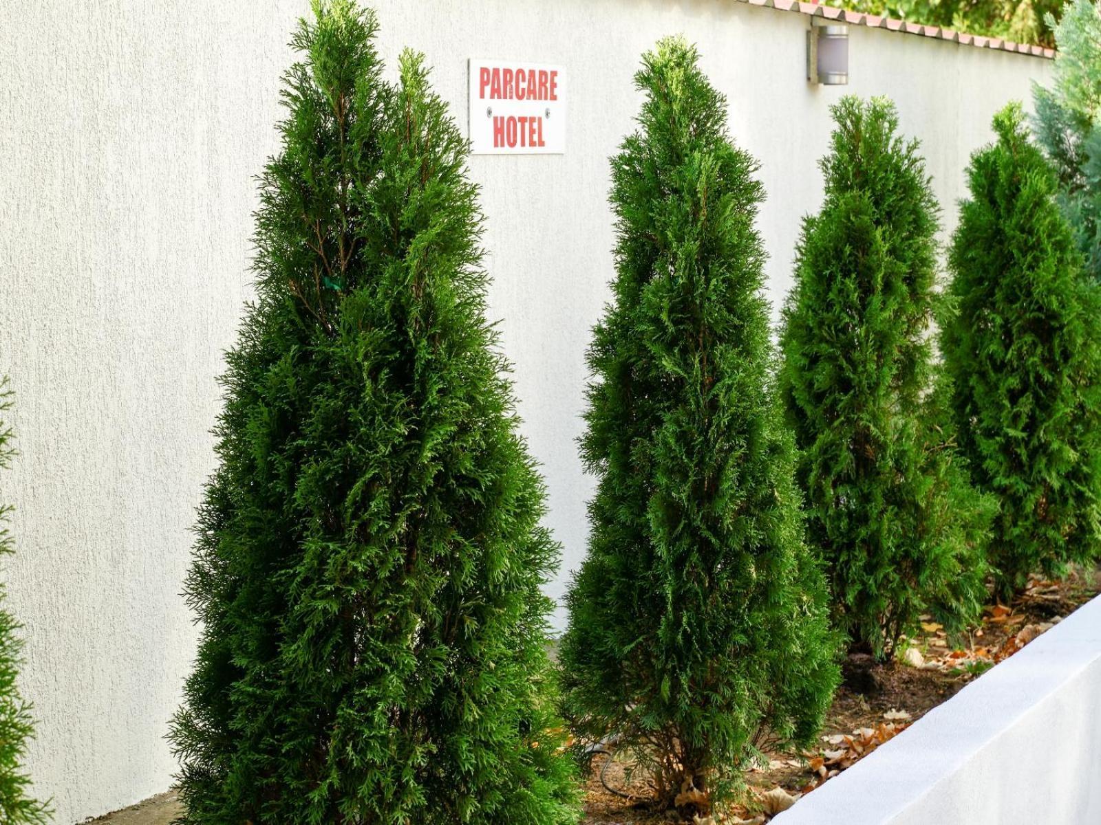 Hotel Criss Bucarest Exterior foto